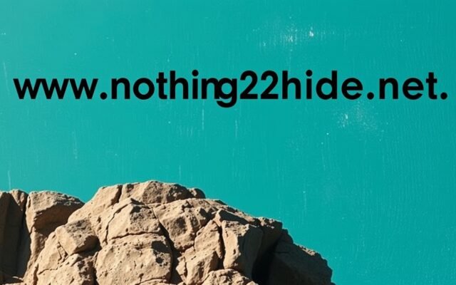www .nothing2hide .net